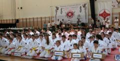V MIĘDZYNARODOWY TURNIEJ O PUCHAR SOLNY MŁODZIKÓW, KADETÓW I DZIECI  KYOKUSHIN   KARATE