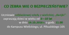 Co zebra wie o bezpieczeństwie?